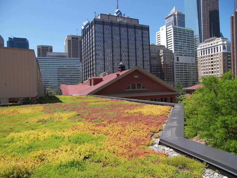 paysagiste-VILLEFRANCHE SUR MER-min_green-roof-portfolio-4